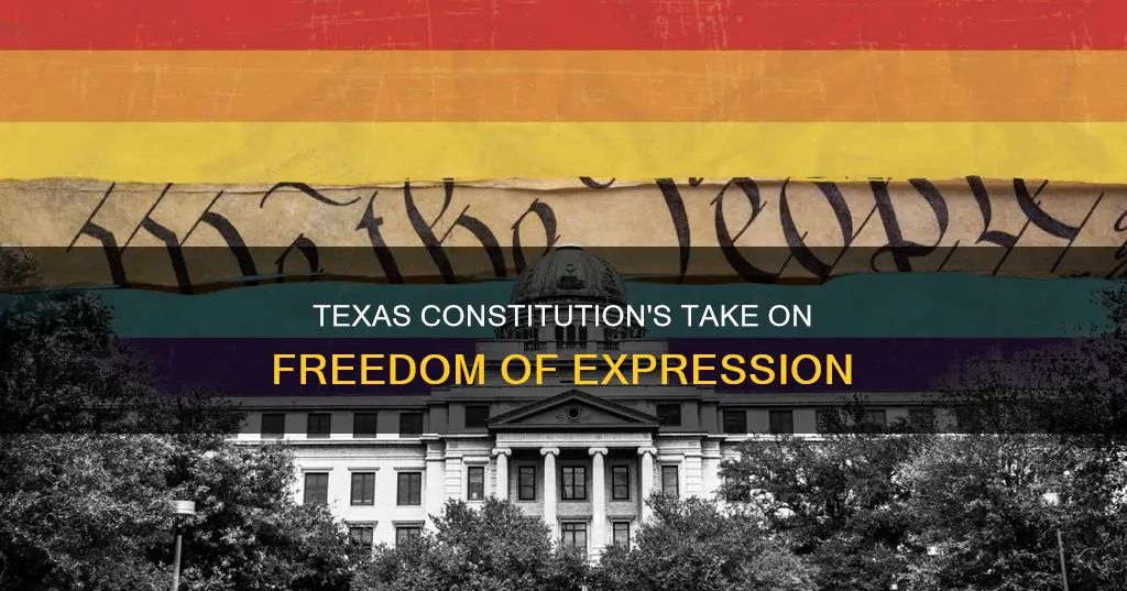 what part of the texas constitution discusses freedom of expression