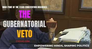 Texas Constitution and the Governor's Veto Power