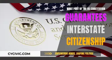 Interstate Citizenship: The US Constitution's Guarantee