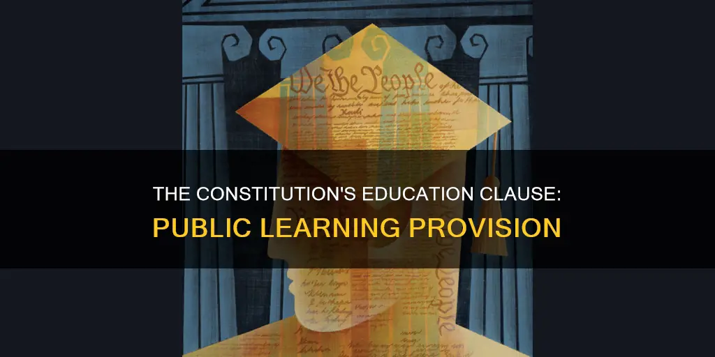what part of the us constitution provides public education