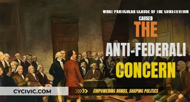 Anti-Federalists' Concern: Constitution's Troubling Clause