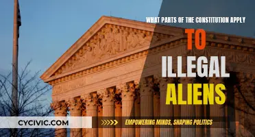 Constitution and Illegal Aliens: What's the Legal Stand?
