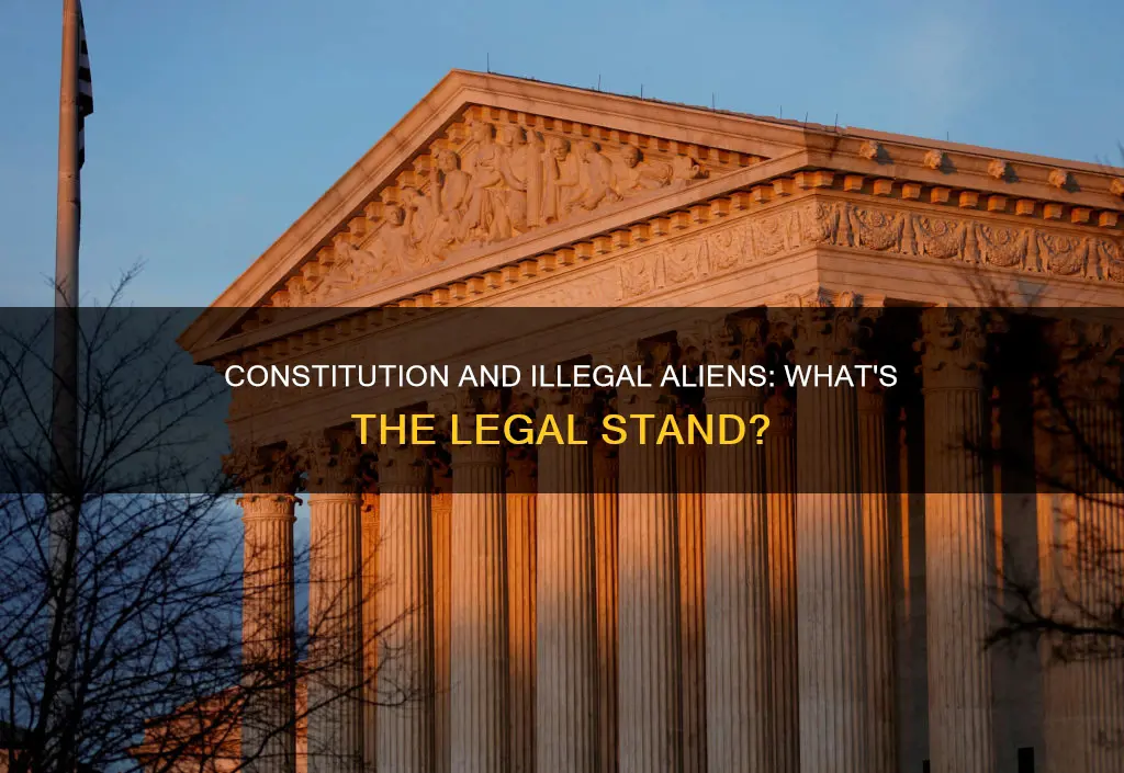 what parts of the constitution apply to illegal aliens