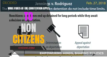 The Constitution: Rights for Non-Citizens Explored