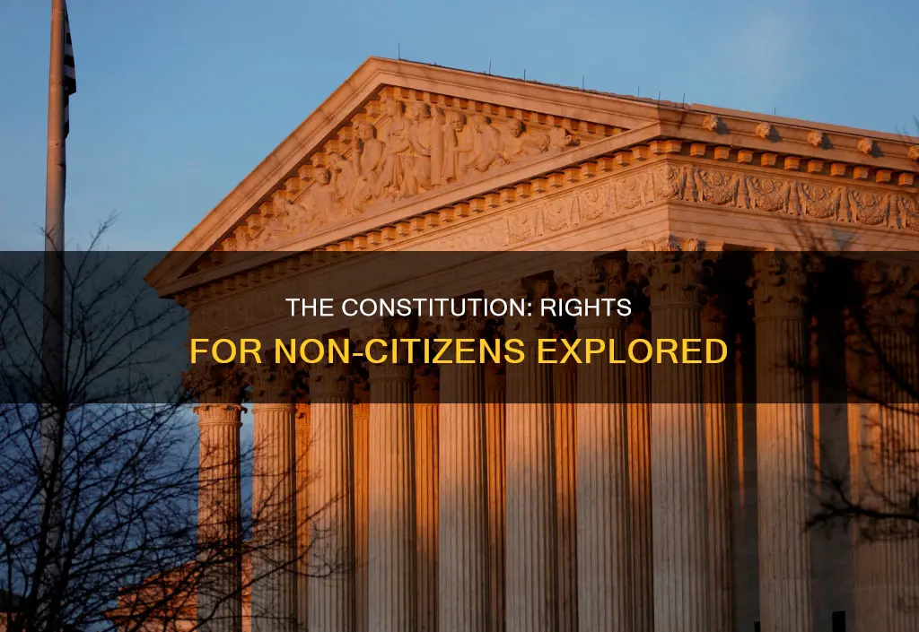 what parts of the constitution apply to non citizens