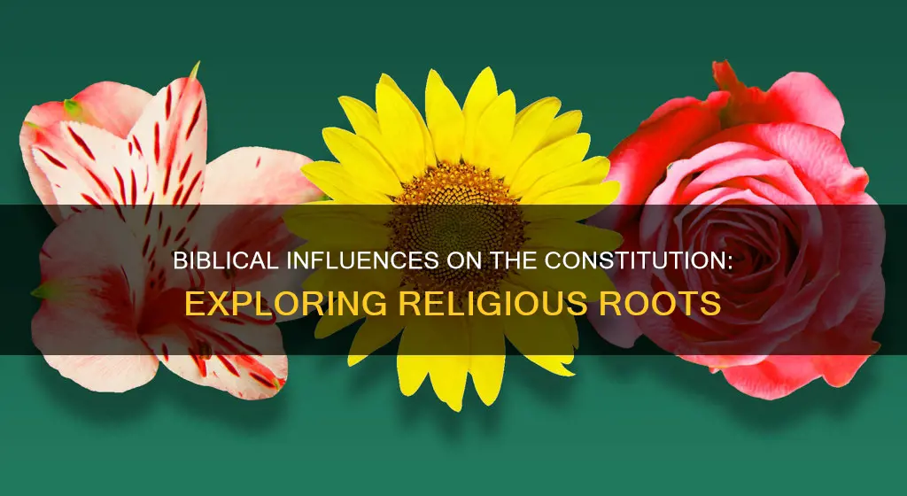 what parts of the constitution are biblical