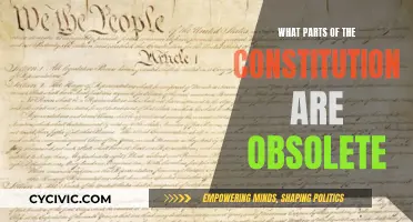 Exploring Obsolete Aspects of the Constitution