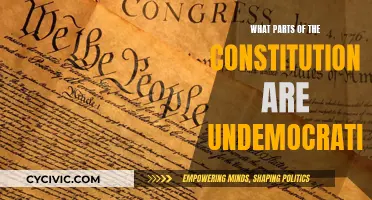 Undemocratic Constitution: What Parts Violate Democratic Principles?