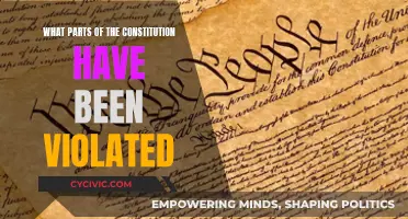 The Constitution: Violated Rights and Broken Promises