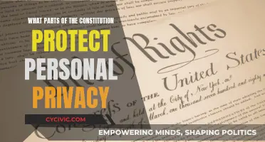 The Constitution's Privacy Protections: Exploring Personal Freedoms