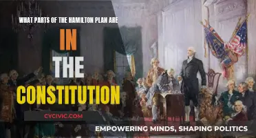 Hamilton's Vision: Constitution's Reality