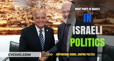 Understanding Bagatz's Role in Israeli Politics: Party Affiliation Explained