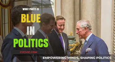 Understanding the Blue Party: Political Affiliation and Global Significance