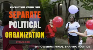 The Surprising Truth: One Party, Three Distinct Political Organizations