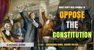 Founding Fathers' Foes: The Anti-Federalists' Party