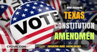 Texas Constitutional Amendments: What Passed and What Didn't