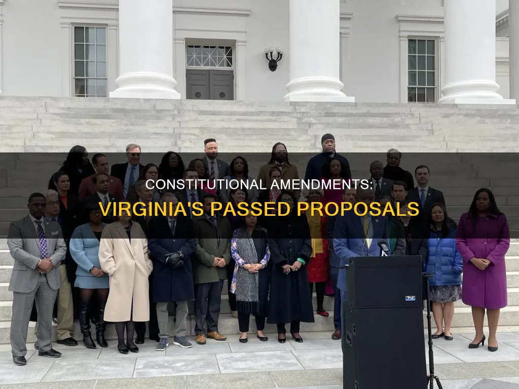what passed on the va constitutional amendments
