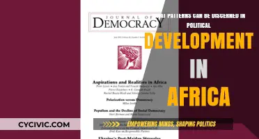 Unveiling Africa's Political Mosaic: Trends and Patterns in Governance