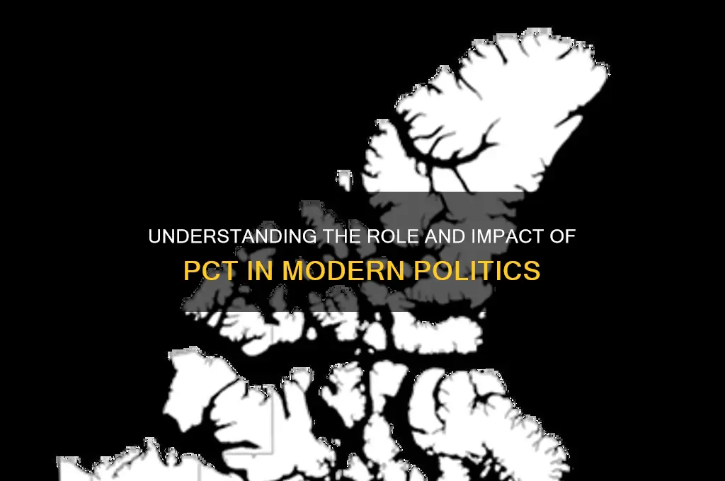 what pct in politics