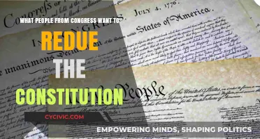 Congress' Constitution Rewrite: What's the Motive?