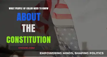 Constitution's Impact on People of Color: What You Need Know