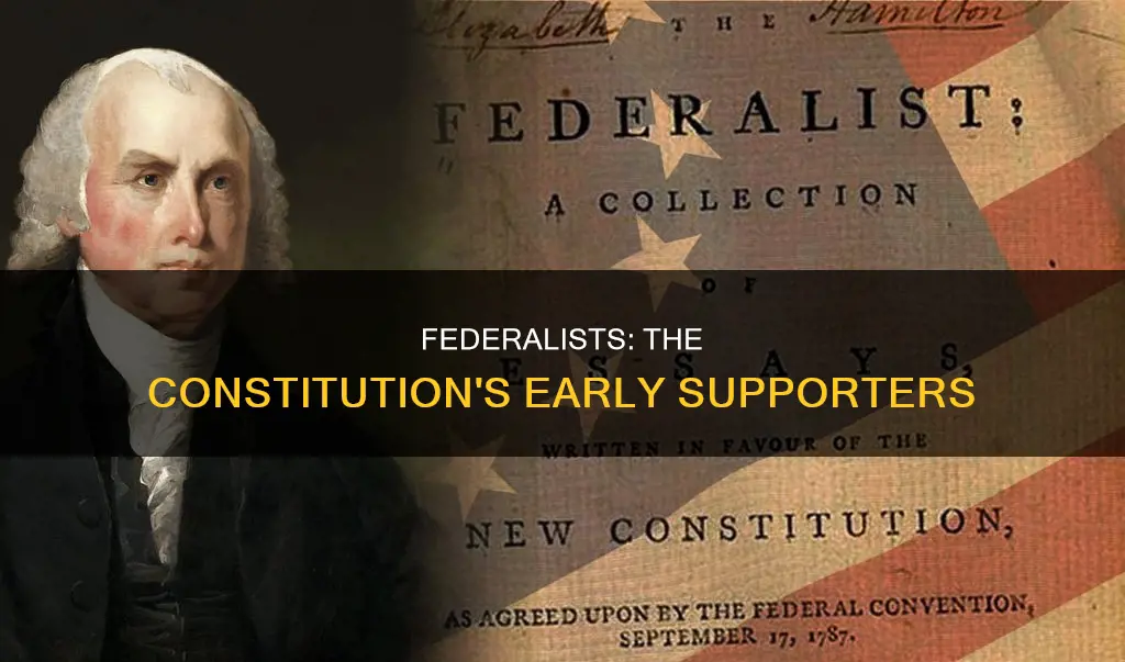 what people who supported ratification of the constitution