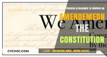 Understanding the Process: Constitutional Amendments