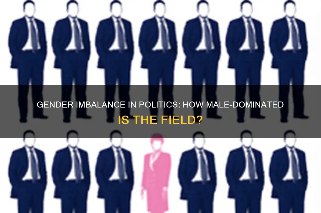 what percent is politics male