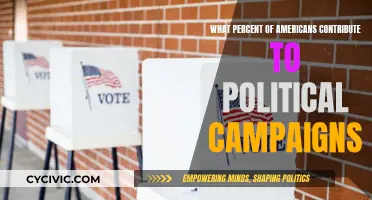 Political Campaign Contributions: Who Funds American Elections?