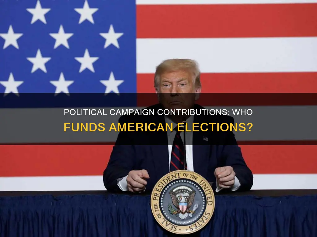 what percent of americans contribute to political campaigns