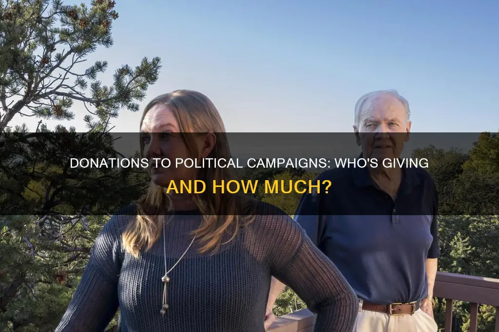 what percent of folks donate to political campaigns