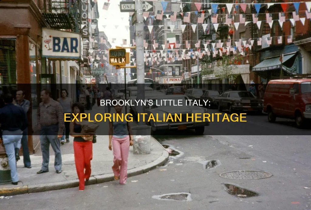 what percentage do italian people constitute in south brooklyn