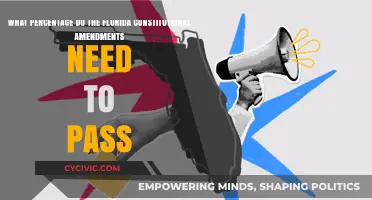 Florida's Amendments: Understanding the Passing Threshold