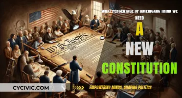 Americans' Views on a New Constitution: The Stats