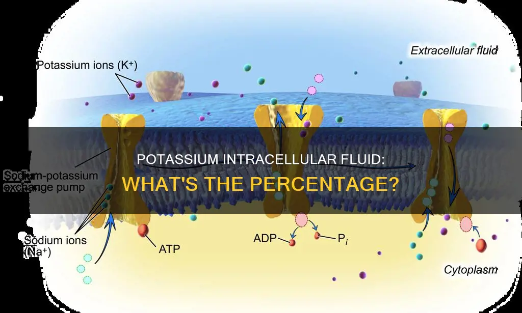 what percentage of body potassium is intracellular fluid constitutes