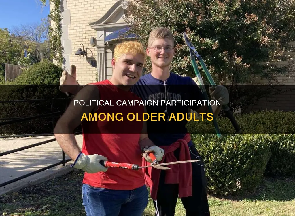 what percentage of older adults are active in political campaigns
