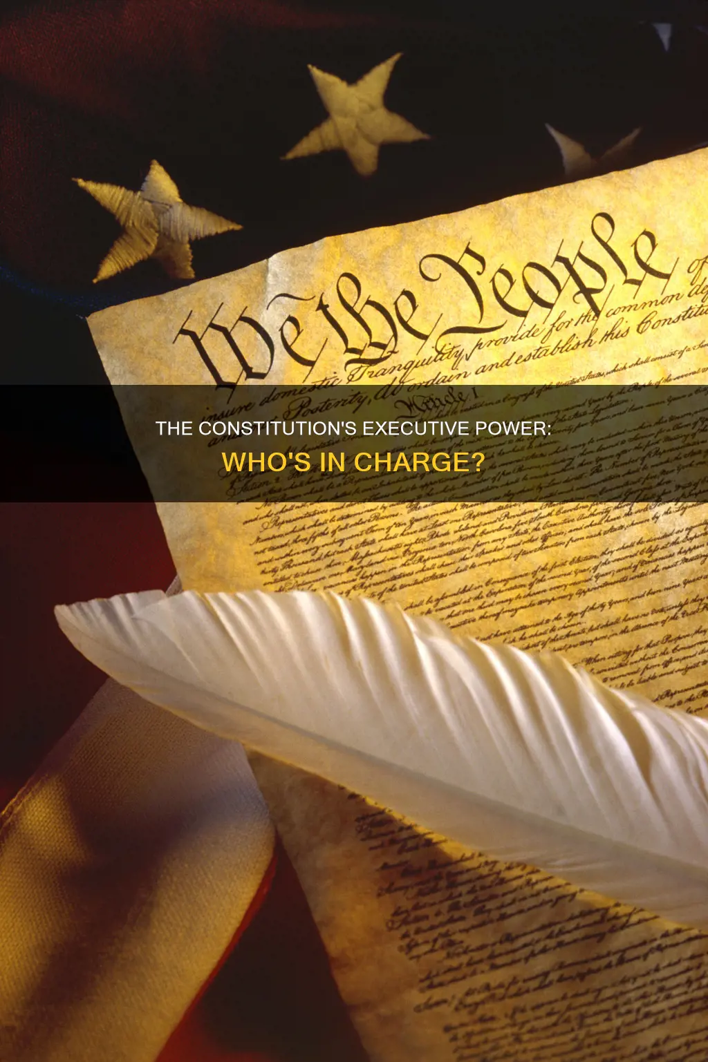what person does the constitution vest executive power