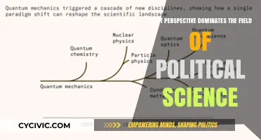 Prevailing Paradigms in Political Science: A Comprehensive Overview