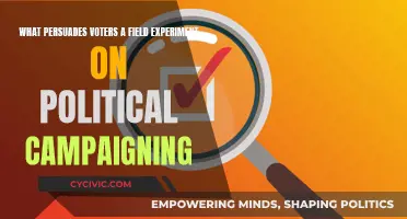 How Political Campaigning Really Influences Voters' Decisions