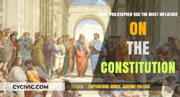 Philosophers' Influence on the Constitution