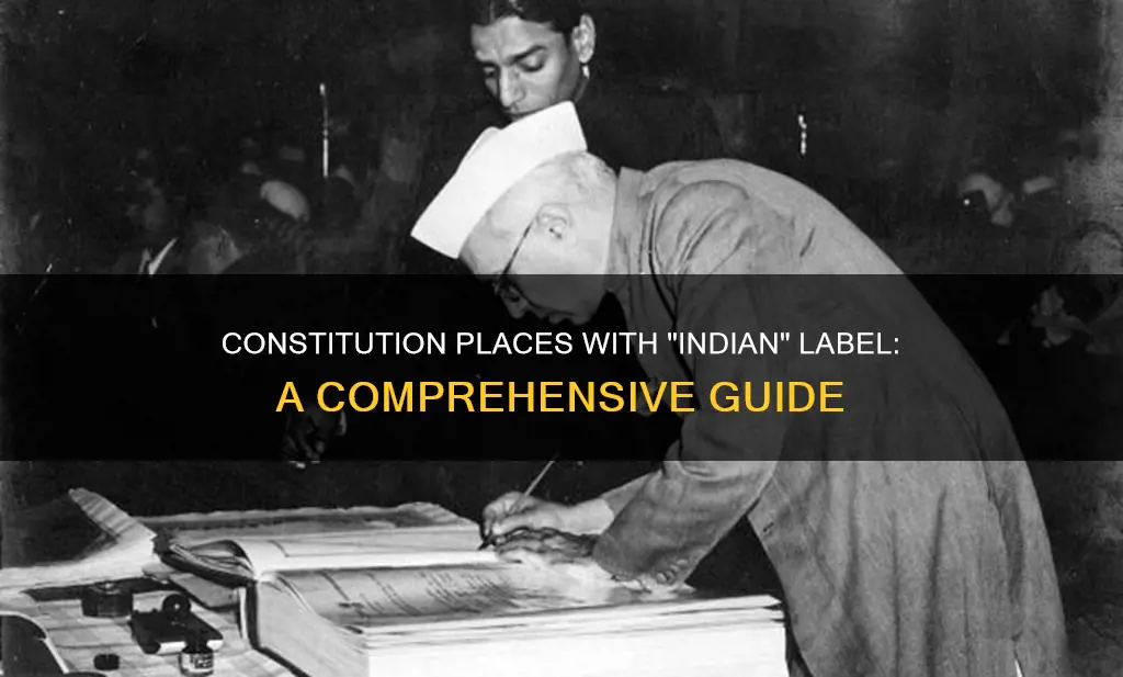 what places does the word indian appear in the constitution