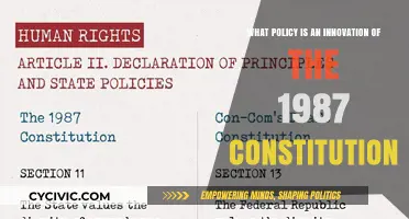 Innovative Policies: 1987 Constitution's Key Changes