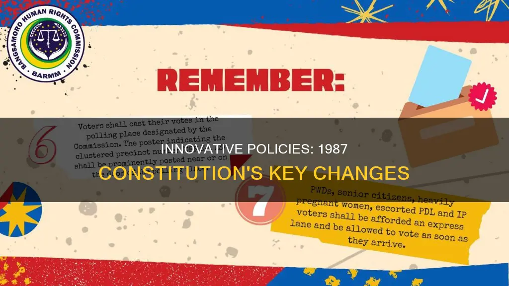 what policy is an innovation of the 1987 constitution