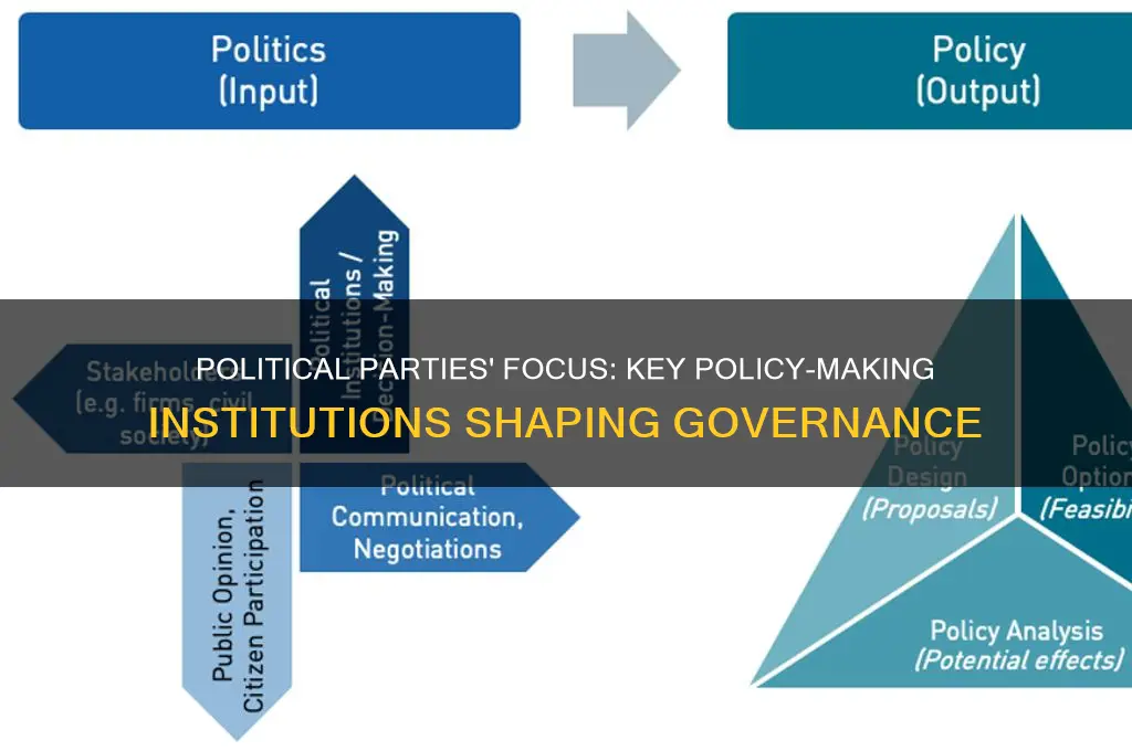 what policy making institution do political parties focus on