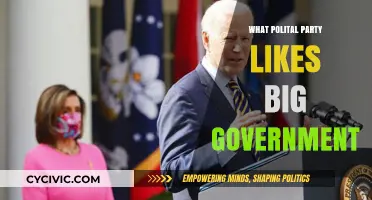 Which Political Party Advocates for Larger Government Intervention?