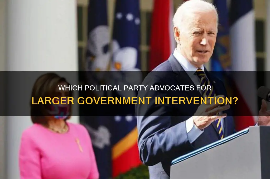 what polital party likes big government