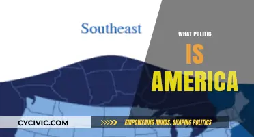 Understanding America's Political Landscape: Democracy, Division, and Power Dynamics