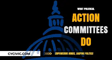 Understanding Political Action Committees: Roles, Influence, and Impact Explained