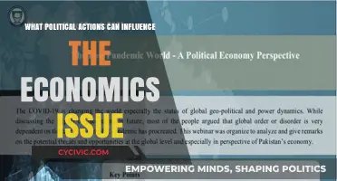 Shaping Economics: The Impact of Political Decisions on Financial Stability