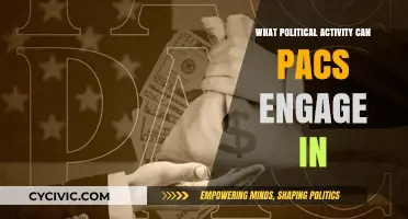 Exploring the Political Influence and Activities of PACs
